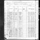 1880 census data for Brodd family