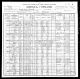 1900 Census for Charles F Timmons family