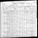 Hultman Census 1900